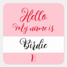 "Hello My Name Is" Nome Etiqueta de Crachá