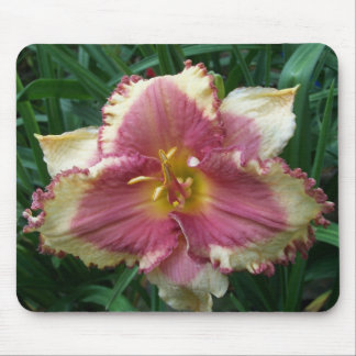 Hemerocallis Eyed rosa Mousepad