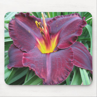 Hemerocallis vulcânico Mousepad