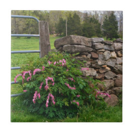 Hemorragia Azulejo cardíaco