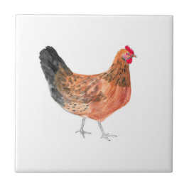 Hen Chicken Farm Animals watercolor Farmyard art