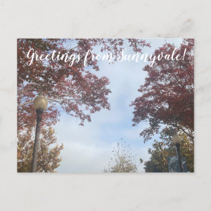 Hendy Lamp Posta: Onde Em Sunnyvale? Cartão Postal