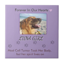 Her Memory in Gentle Purple