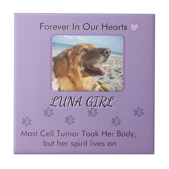 Her Memory in Gentle Purple (Frente)