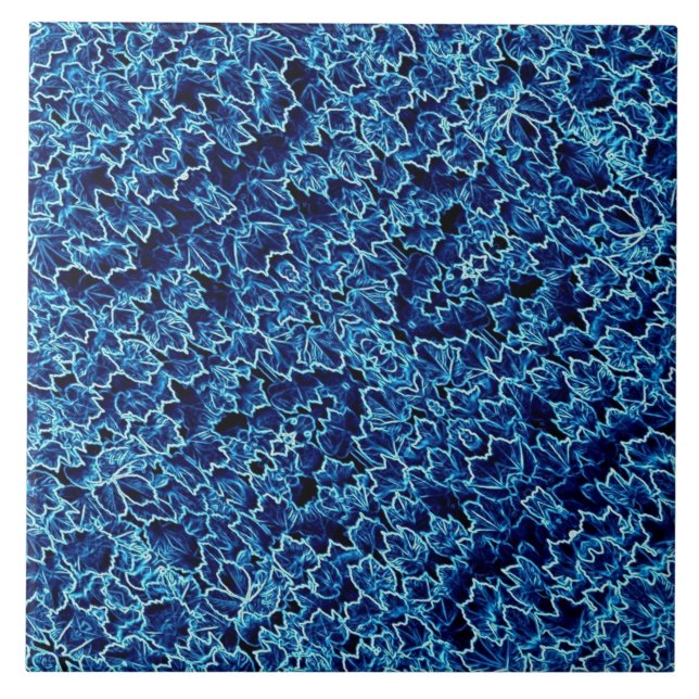 Hera Gélida Azul Ivy Resfriado (Frente)