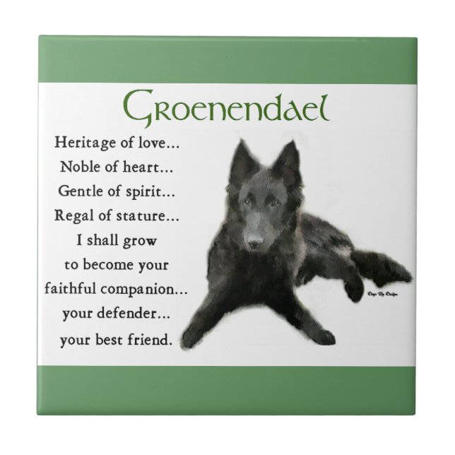 Herança Belga do Amor (Frente)