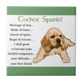 Herança do Amor do Cocker Spaniel