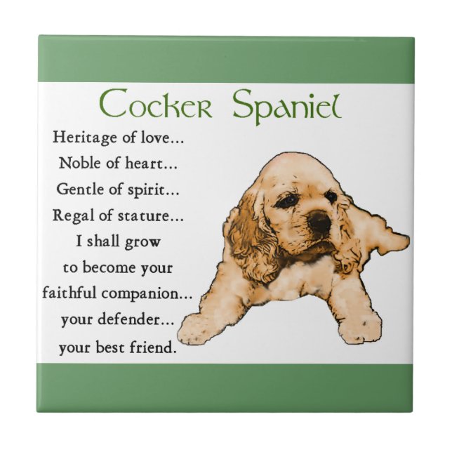 Herança do Amor do Cocker Spaniel (Frente)
