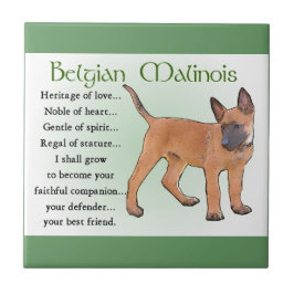 Herança do Amor, Malinois Belga