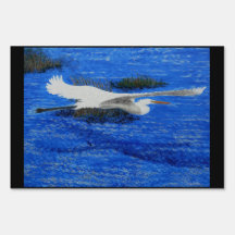 Herão Azul Gigante, Estuário