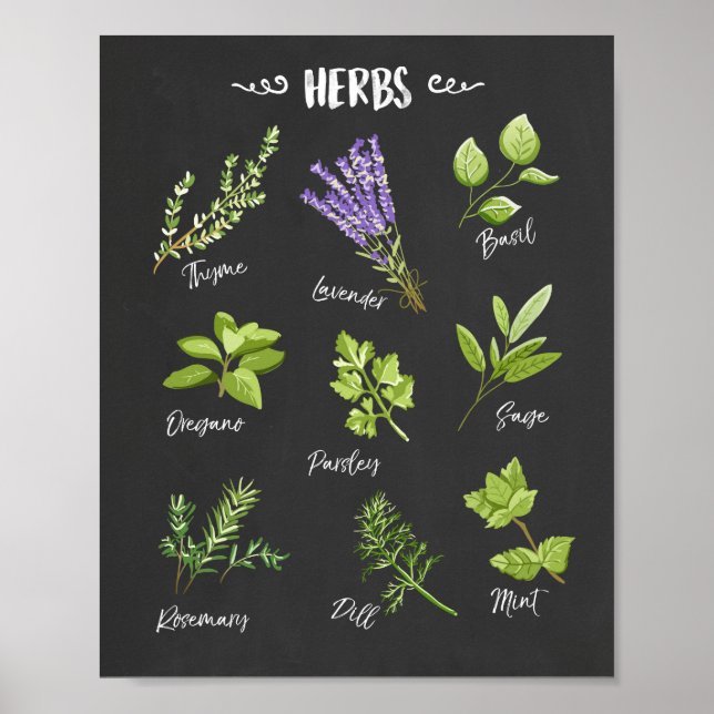 Herb impressão Arte Herbs Arte Cozinha Decoração d (Frente)