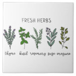 Herbáceas frescas Thyme Basil Farmhouse<br><div class="desc">Plantas aromáticas frescas,  incluindo tomilho,  manjericão,  sábio,  rosmaninho e orégano,  com um simples fundo branco. Um gráfico de aquarela simples foi usado para fazer este azulejo cerâmico de fazenda.</div>