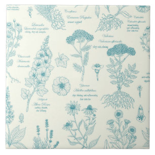 Herbário de Jardim Medicinal em azul e branco esma