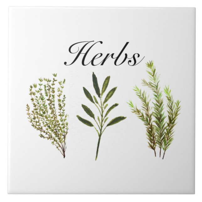 Herbos Por Aquarelas Thyme Rosemary Sage Plant Pot (Frente)