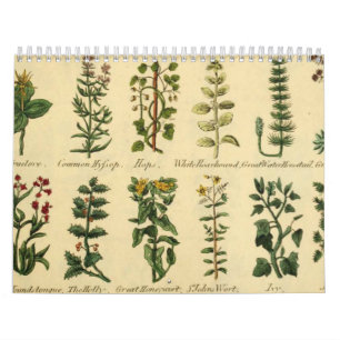 HERBS E BOTÂNICAS, Calendário de Vintagem Medieval