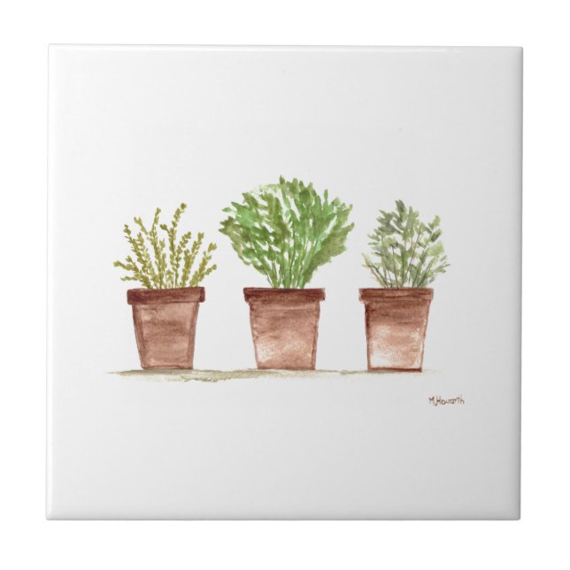 Herbs sage rosemary thyme watercolor russa (Frente)