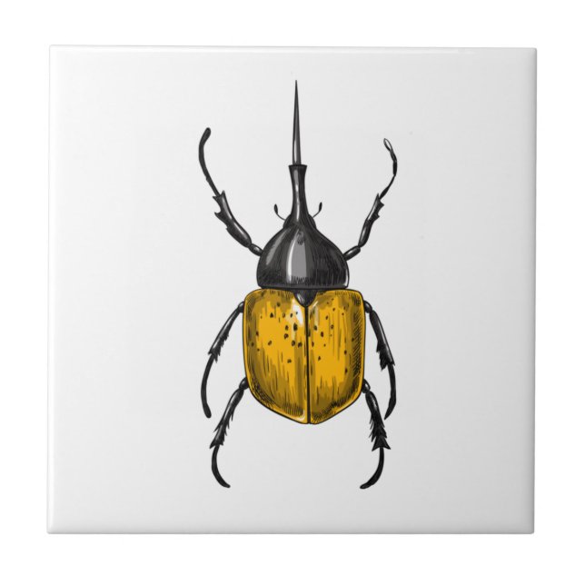 Hercules beetle (Frente)