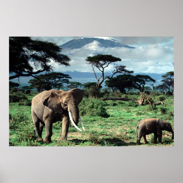 Herd of Elephants poster (Frente)