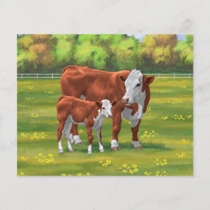 Hereford Cow & Cute Calf em Pastura de Verão
