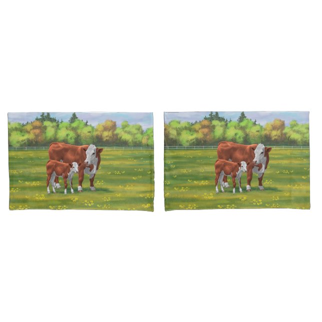Hereford Cow & Cute Calf na Pastagem de Verão (Frente - conjunto)