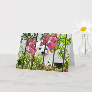 Hermes do Cartão de Saudação de Vazio Maltês