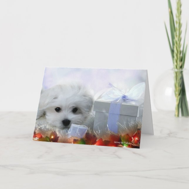 Hermes o cartão maltês do Natal (Frente)