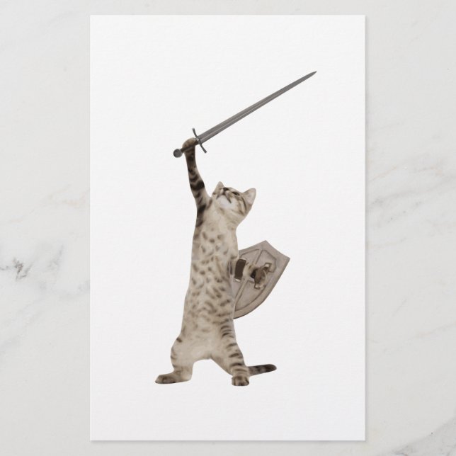 Heroic Warrior Knight Cat (Frente)
