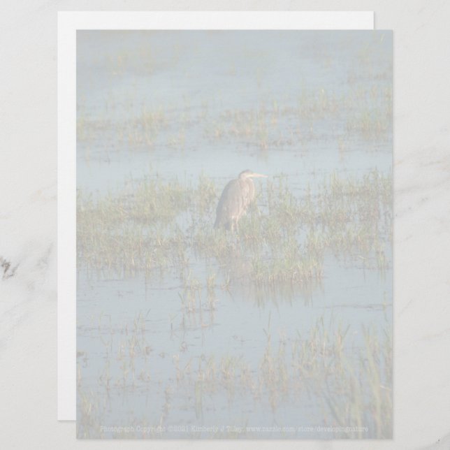 Heron 6937 (Frente/Verso)