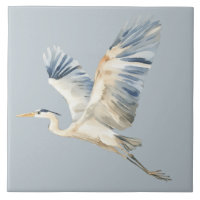 Heron Dusty, Herão Azul Voador Elegante