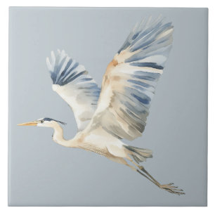 Heron Dusty, Herão Azul Voador Elegante