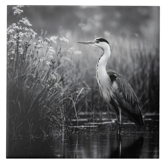 Heron in the Marsh Black and White (Frente)