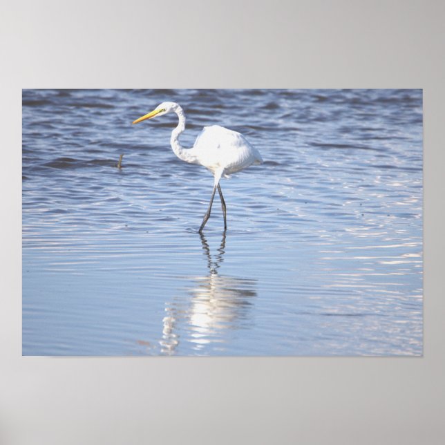 Heron Photo Poster (Frente)