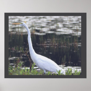 Heron Poster