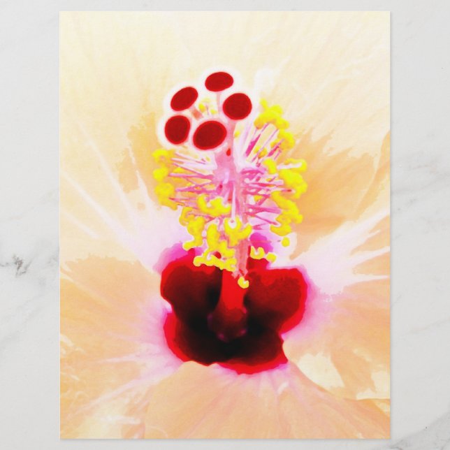 Hibisco (Frente)