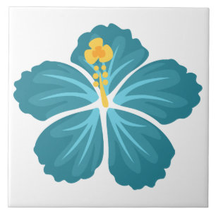 Hibiscus azul
