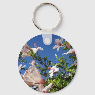 Hibiscus Chaveiro