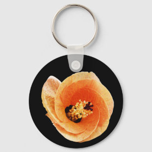 Hibiscus Chaveiro