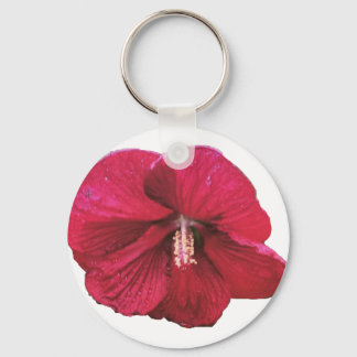 Hibiscus Chaveiro