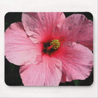 Hibiscus cor-de-rosa Mousepad
