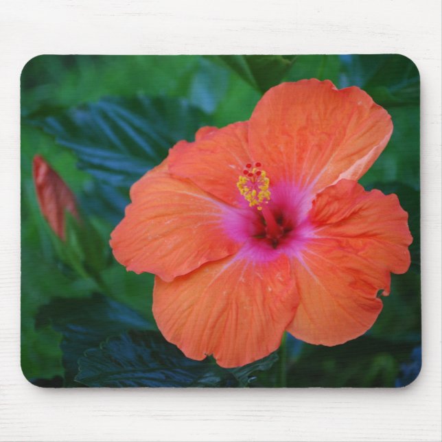 "Hibiscus de acontecimento" Mousepad (Frente)