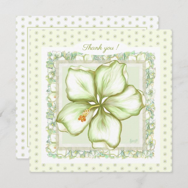 Hibiscus & lace WHITE (Frente/Verso)