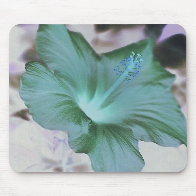 Hibiscus - mousepad (Frente)