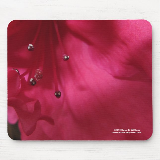 Hibiscus Mousepad (Frente)
