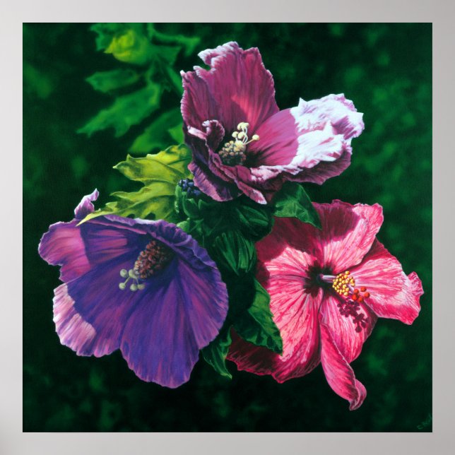 Hibiscus poster do Havaí (Frente)