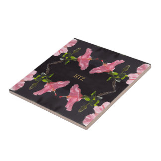 Hibiscus rosa em preto