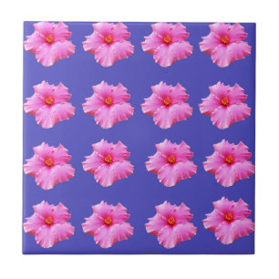 Hibiscus Summer Breeze,_