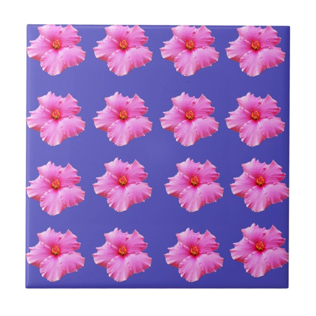 Hibiscus Summer Breeze, (Frente)