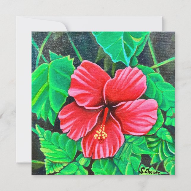 Hibiscus tropical (Frente)