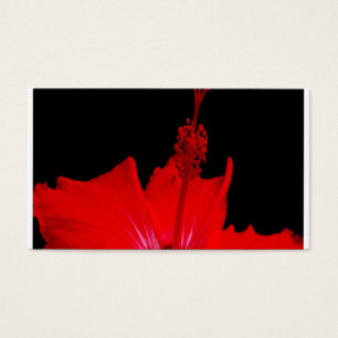 Hibiscus vermelho