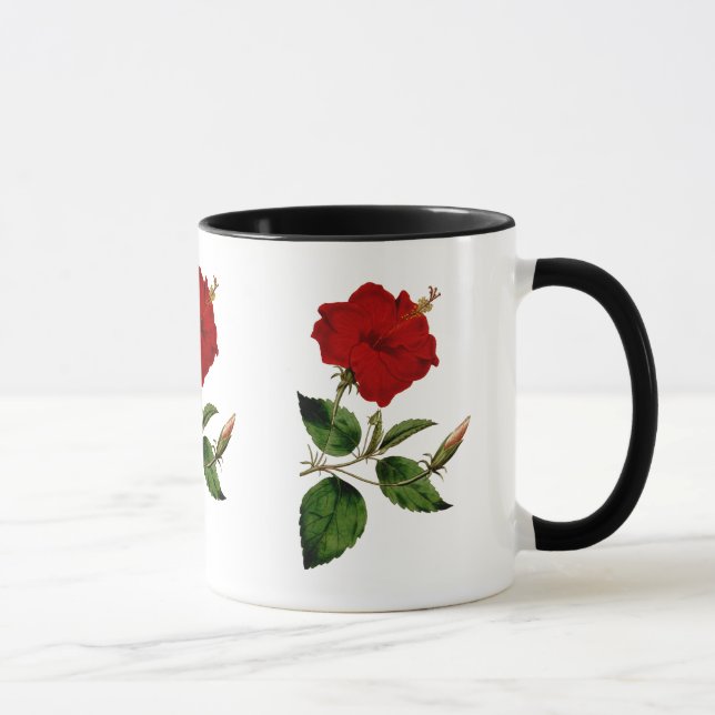 Hibiscus vermelho com a caneca preta da campainha (Direita)